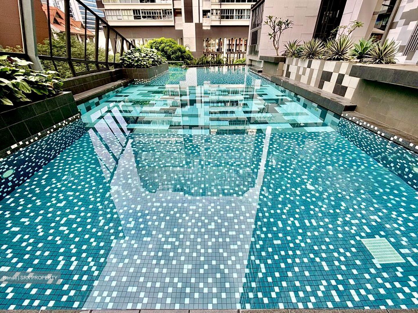 Domus (D12), Apartment #462997681